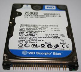 WD2500BEVE Scorpio Blue 2,5 Zoll IDE (NEU) 