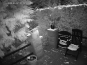 morepic-5